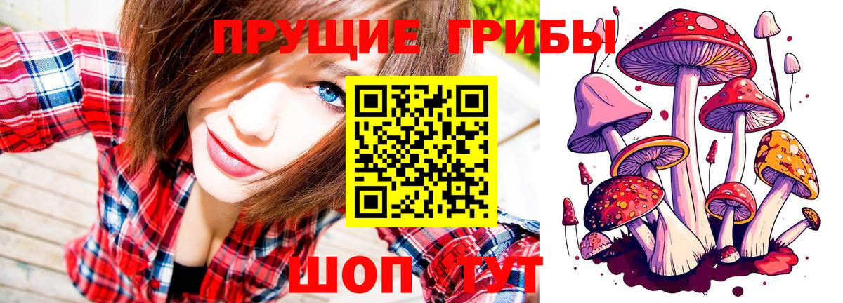 Галлюциногенные грибы MAGIC MUSHROOMS Тара