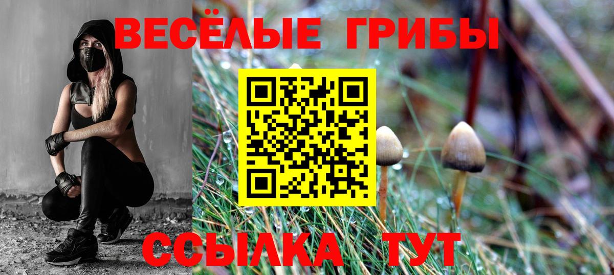 Псилоцибиновые грибы Psilocybe  Вход с VPN  Тара 